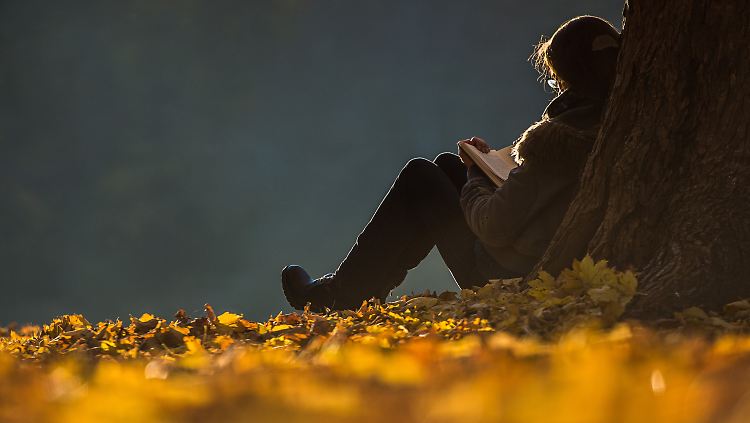 Wenn die Sonne scheint, kann man auch mal draußen lesen. 
