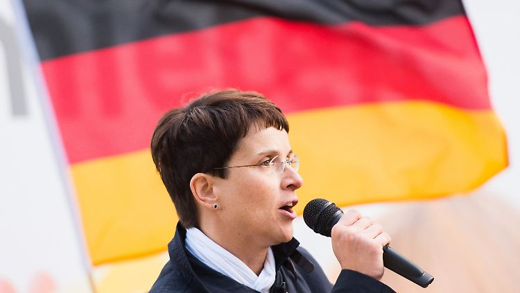 AfD-Chefin Frauke Petry am Samstag in Hamburg.