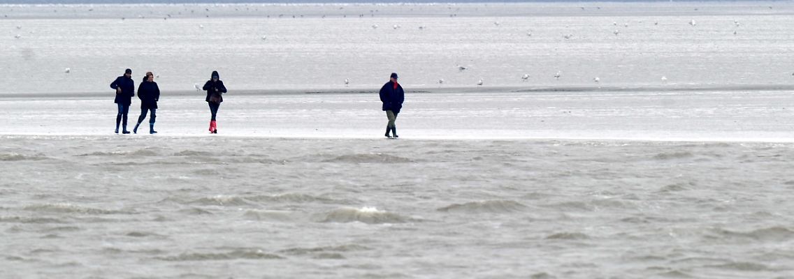 Erholung pur: Ein Spaziergang an der Wasserkante im Watt vor Büsum.