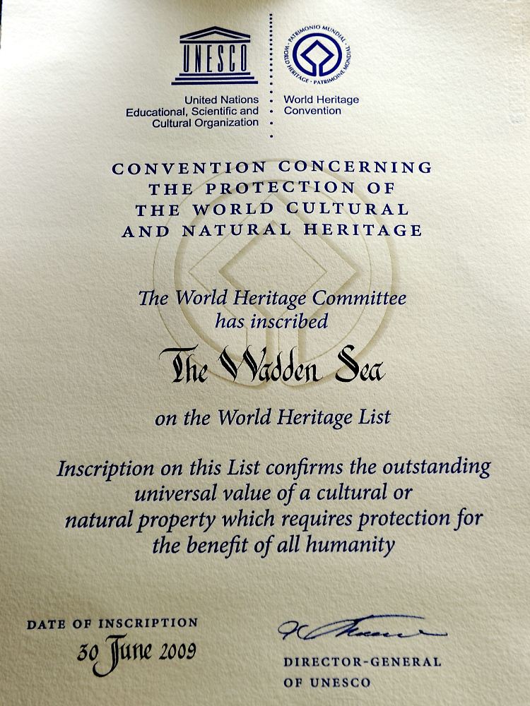 Mit der feierlichen Übergabe der Urkunde wurde das Wattenmeer offiziell zum Weltnaturerbe der UNESCO erklärt.