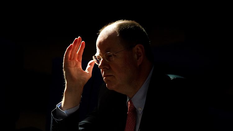 Peer Steinbrück sitzt für die SPD im Bundestag - weitere politische Ämter hat er nicht.