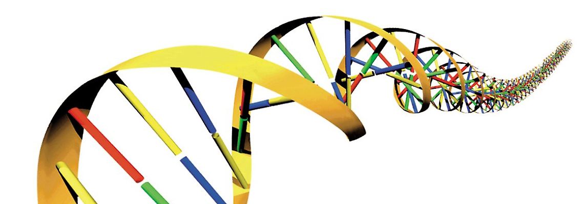 Doppelhelix des menschlichen DNA-Codes.
