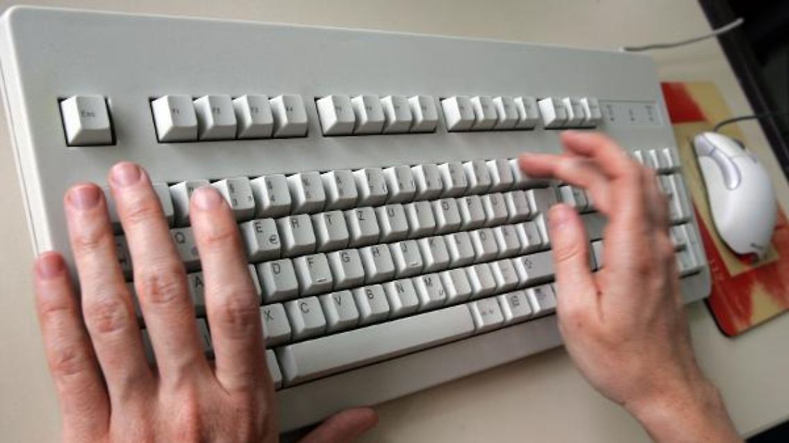 8895307.jpg