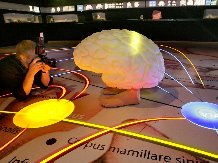 Phantasie, aber keine Erfindung: Die Ausstellung über das Glück gab es tatsächlich.