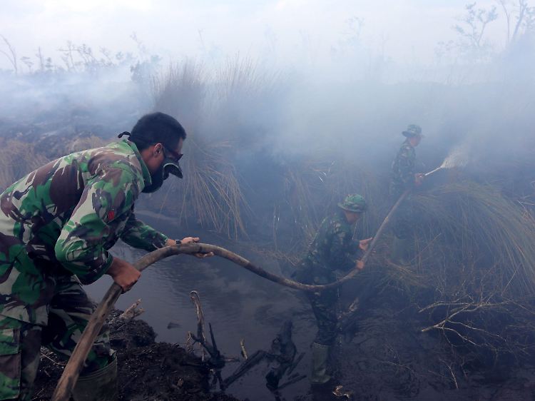 Waldbrand auf Sumatra am 12. September 2015: Die indonesische Regierung warnt, dass durch El Niño die große Trockenheit verstärkt wird, was wiederum zu mehr Waldbränden führt.
