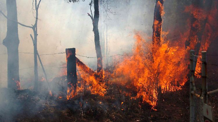 Sommerzeit ist Waldbrandzeit: Australien leidet regelmäßig unter schlimmen Buschbränden.