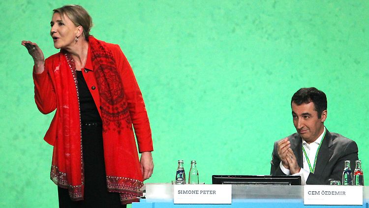 "Starke Worte", sagt Grünen-Chefin Peter über Kanzlerin Merkel.
