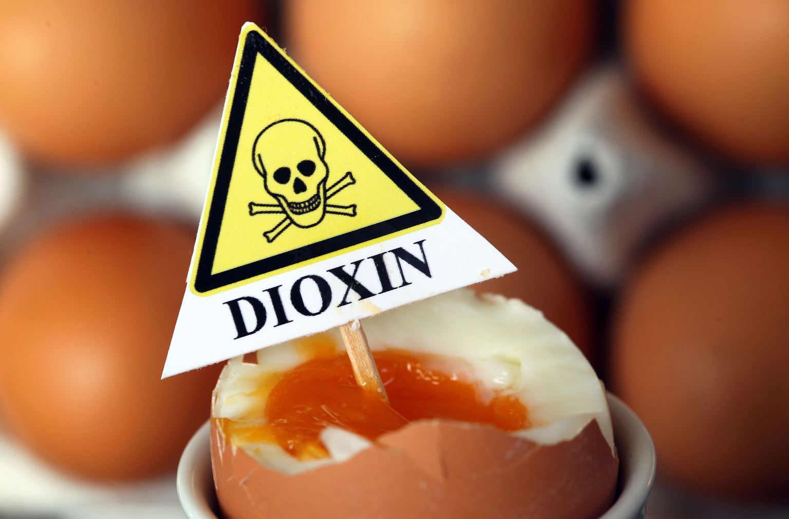 Dioxin in Eiern, ...