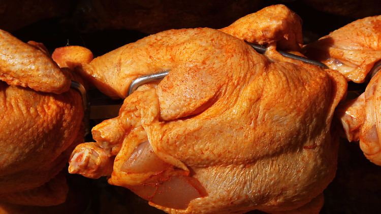 Campylobacter sind Bakterien aus dem Darm von Tieren, die beim Schlachten auf das Fleisch geraten können.