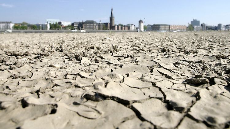 Hitze und anhaltende Trockenheit waren auch in diesem Sommer ein großes Problem in Deutschland. Hier zu sehen: das Rheinufer bei Düsseldorf.