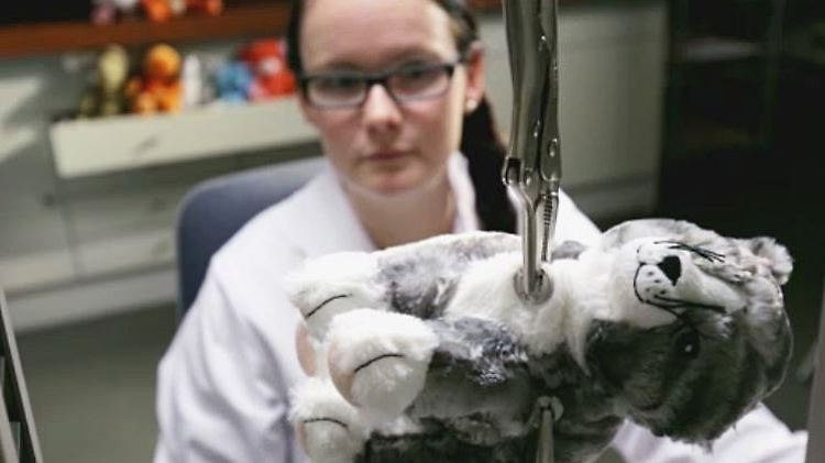 Stiftung Warentest Kuscheltiere.JPG