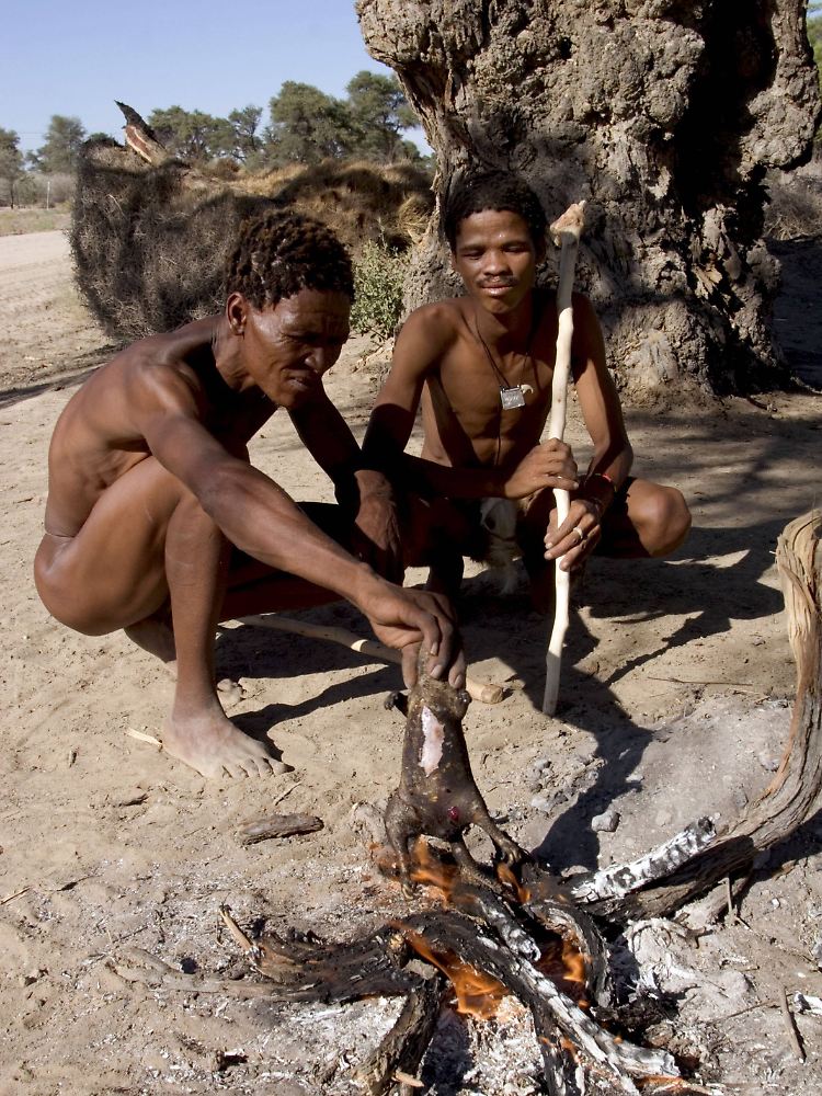 Buschmänner im Kongo: Zur Wahl standen den Probanden ein ökologisches Projekt im Kongo und ein soziales Vorhaben, mit dem die Lebensgrundlagen der Ureinwohner dort werden sollten.