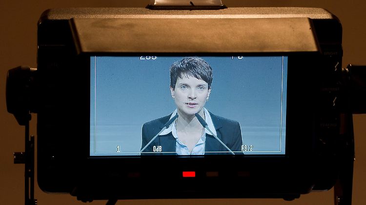 Petry im November auf dem Bundesparteitag der AfD in Hannover.