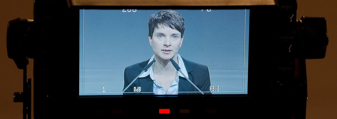 Wer hat die Daten geklaut, will die AfD wissen.