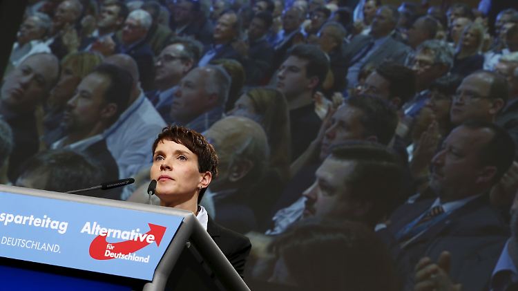 AfD-Chefin Frauke Petry muss um die staatlichen Zuschüsse zur Parteienfinanzierung fürchten. 