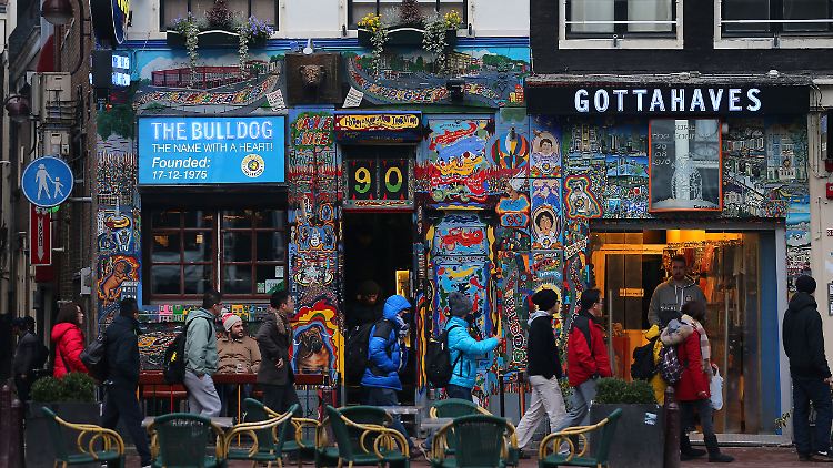 Coffeeshops in Amsterdam: der Verkauf von Cannabis ist legal, der Anbau verboten. Das drängt Besitzer in Abhängigkeiten von illegalen Drogenbanden.