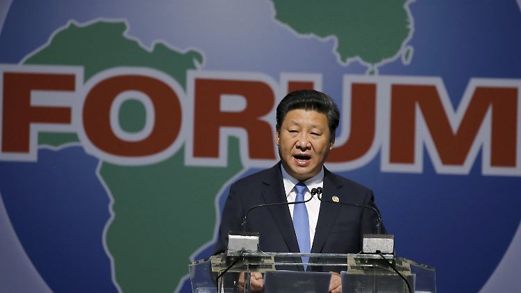 Der chinesische Präsident Xi Jinping während seiner Rede auf einem Forum für China-Africa Kooperation in Johannesburg.