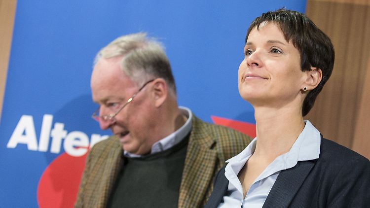 Die AfD unter der neuen Chefin Frauke Petry findet in die Erfolgsspur zurück.