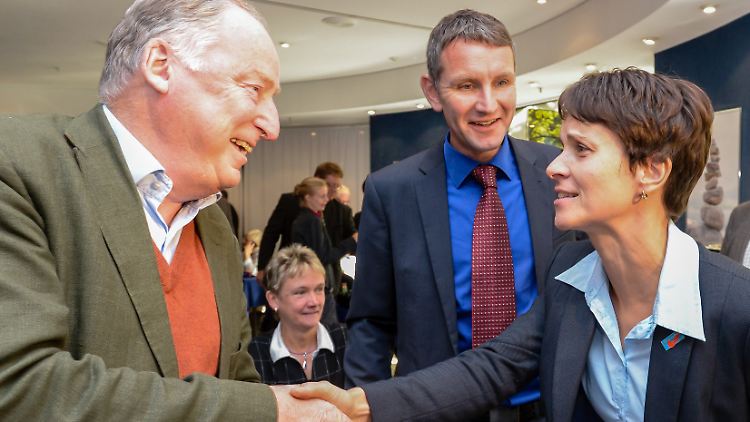Spitzenpolitiker der AfD: Alexander Gauland, Björn Höcke und Frauke Petry.