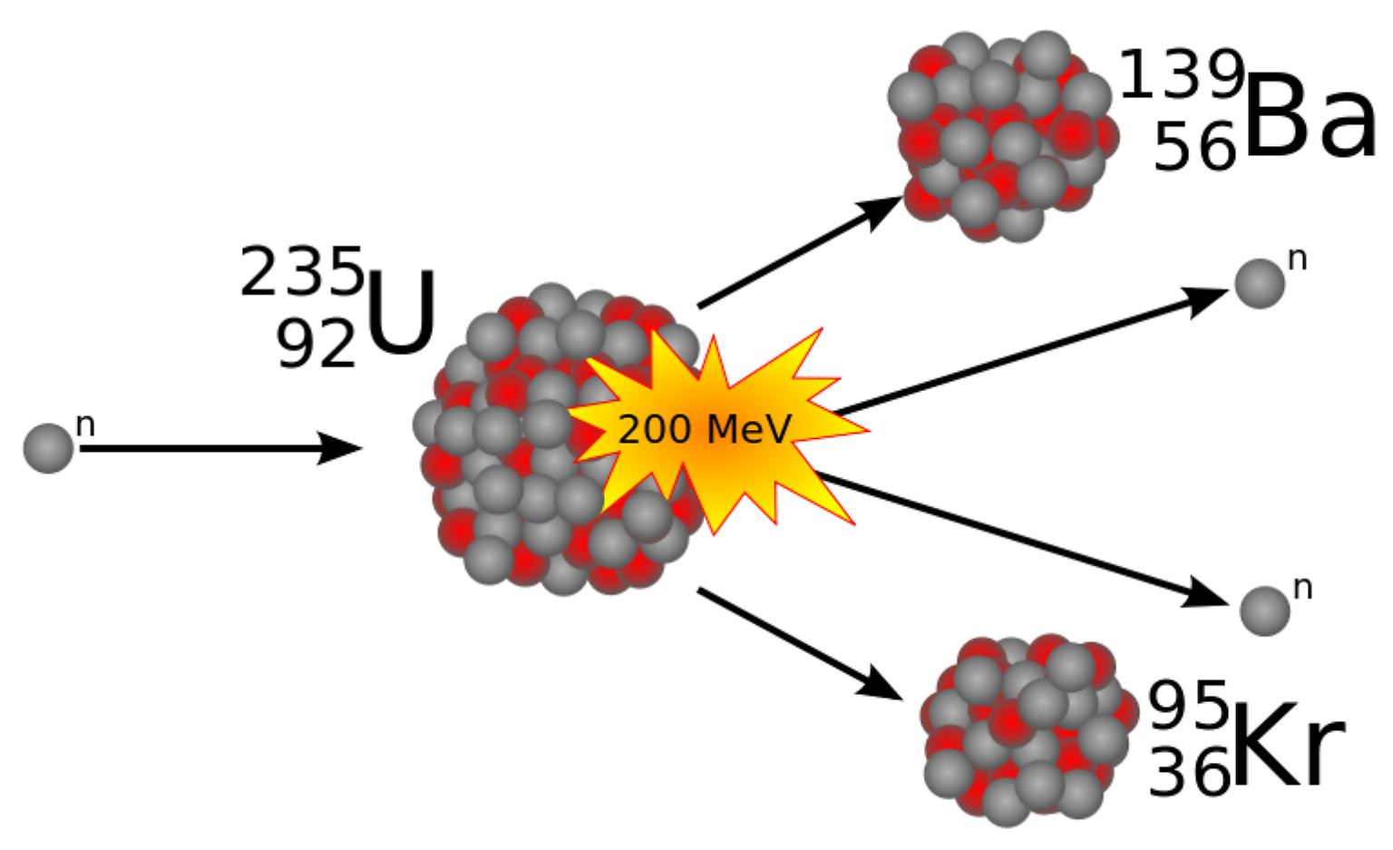 In Atomkraftwerken wird Energie aus der Spaltung schwerer Kerne wie Uran gewonnen. Bei der ...