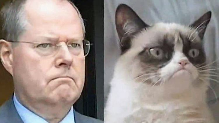 Grumpy Cat.JPG