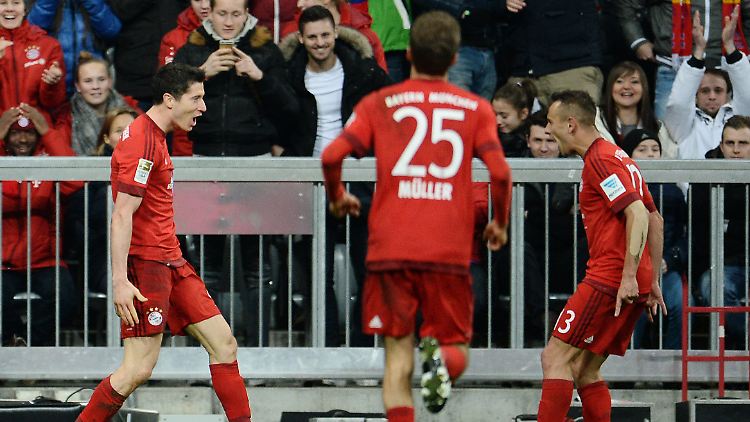 Erst ein feines Tor von Robert Lewandowski brach den Widerstand des FC Ingolstadt, der beim FC Bayern mutig mitspielte.