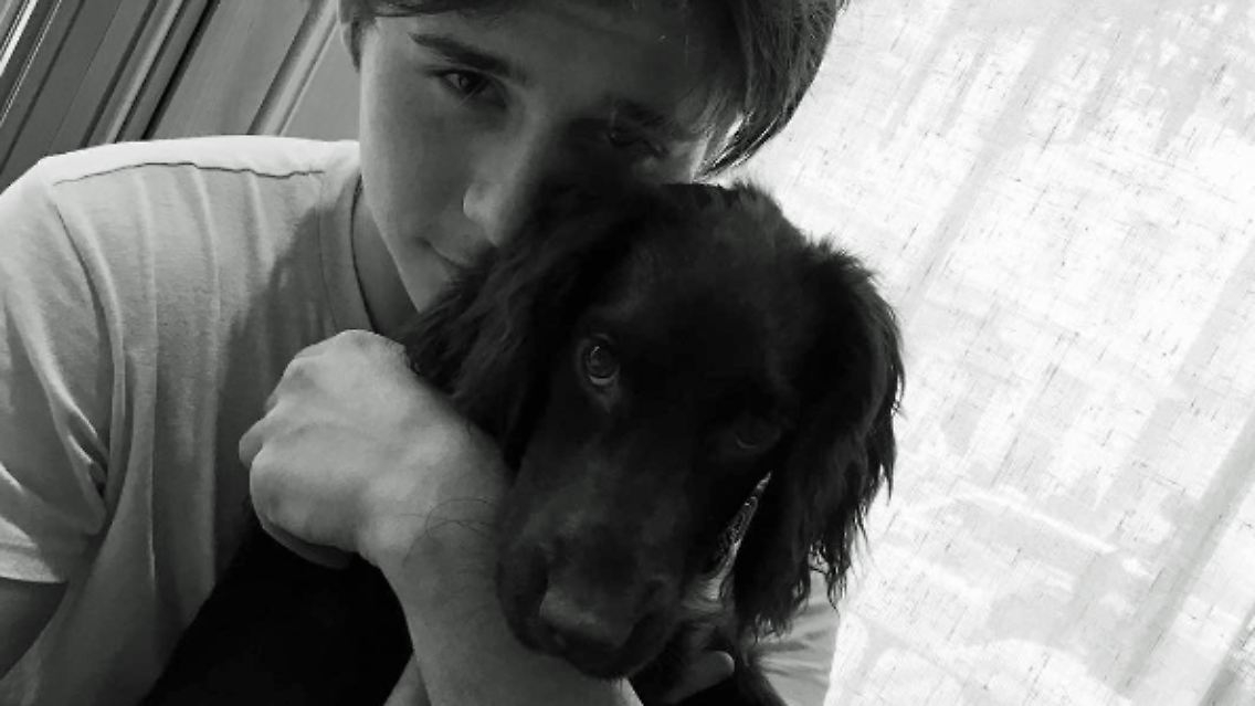 Olive-Beckham-Instagram.jpg