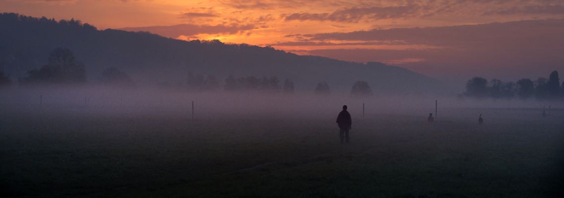 Nebel auf Elbwiesen bei Dresden.