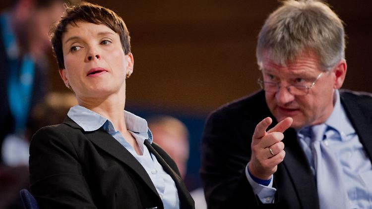 Frauke Petry und Jörg Meuthen, die beiden AfD-Parteispitzen, müssen künftig neue Einnahmequellen erschließen. 