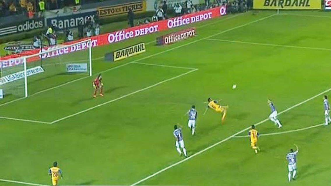 Gignac Torshow.JPG