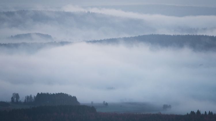 Auch schön: Morgenstimmung im Fichtelgebirge.