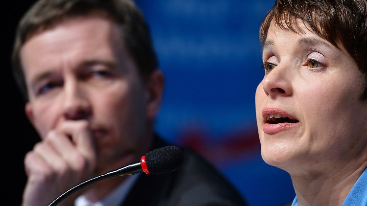 Diese beiden werden keine Freunde mehr: Alfa-Chef Bernd Lucke und AfD-Vorsitzende Frauke Petry. 