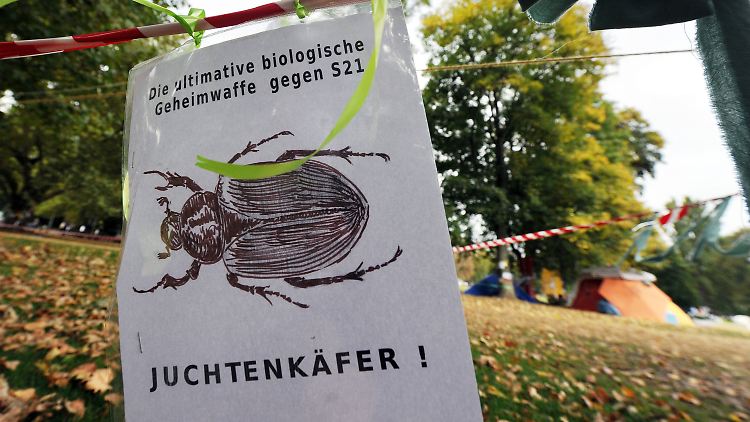 Der Juchtenkäfer stoppt das Abholzen in Stuttgart.