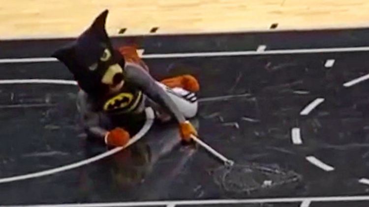 Da isser! "The Coyote" schnappt sich die Fledermaus.