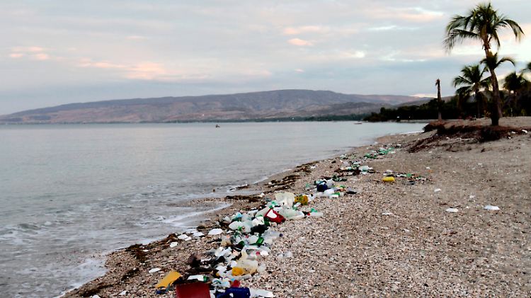 Meerestiere und Seevögel verwechseln den Plastikmüll nicht selten mit Nahrung und verenden.