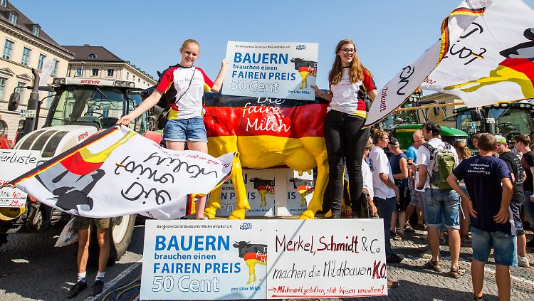 Viele deutschen Bauern machen die Politik für die niedrigen Preise von Milch und Fleisch verantwortlich. 
