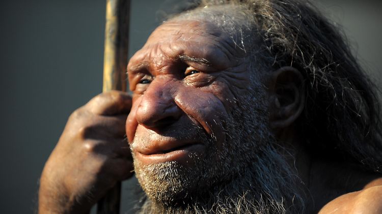 Neandertaler und Homo sapiens lebten zum Teil zur selben Zeit.