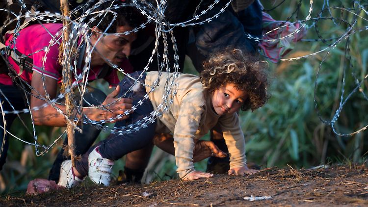 Wer den Zaun, der die Grenze Ungarns schützt, missachtet, wird bestraft.