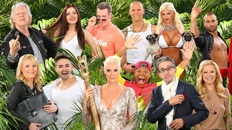 Die Kandidaten der 10. Dschungelcamp-Staffel: Gunter Gabriel, Nathalie Volk, Jürgen Milksi, Thorsten Legat, Sophia Wollersheim, David Ortega (oben, vl.n.r.) sowie Helena Fürst, Menderes Bagci, Brigitte Nielsen, Ricky Harris, Rolf Zacher und Jenny Elvers.