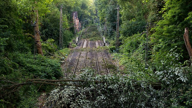 Vegetation außer Kontrolle: Umgeknickte Bäume liegen nach dem Pfingst-Unwetter 2014 auf den Gleisen bei Essen.