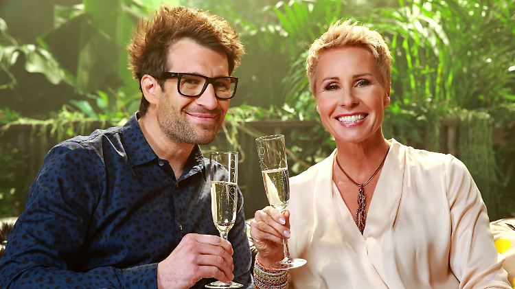 Daniel Hartwich und Sonja Zietlow können anstoßen: 2016 wird das Dschungelcamp besonders hart für die Promis.