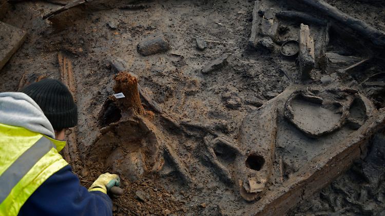 Für die Archäologen ist der Fund wie ein kleines Wunder.