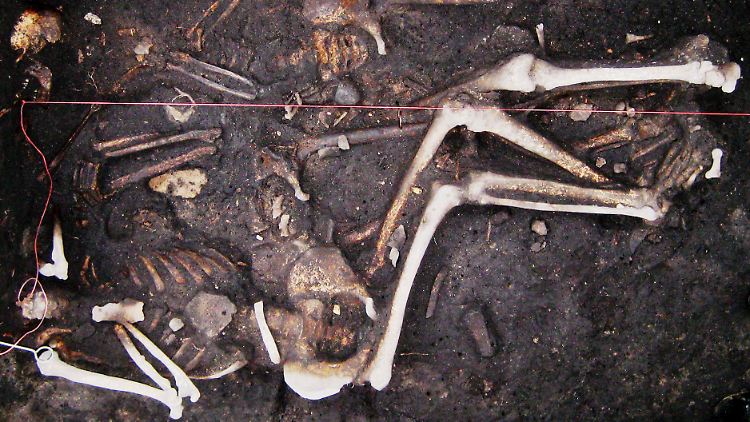 Skelette dreier Soldaten aus dem Dreißigjährigen Krieg (1618-1648), gefunden in Brandenburg.