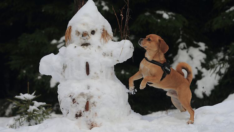 Bei einem Schneemann sind wohl nicht allzu viele Emotionen zu erkennen.