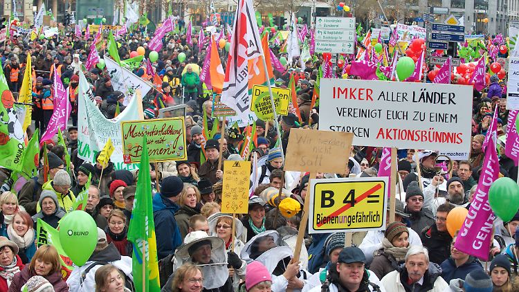 Auch im Öko-Landbau gilt "Wachsen oder Weichen".