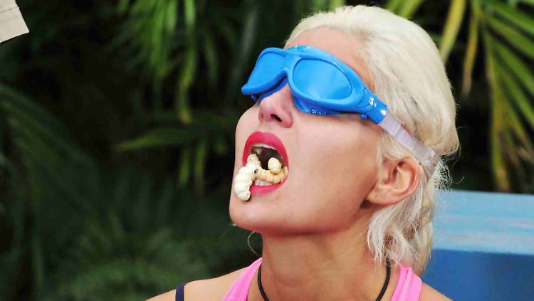 Sophia Wollersheim kämpft für das 'Base Camp' gegen 'Snake Rockerin' Helena um die begehrten Sterne.