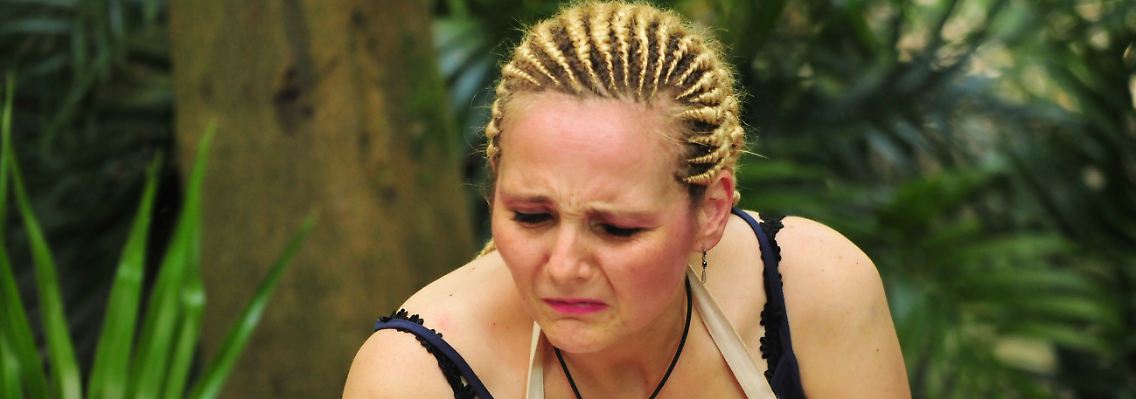 ibes8.jpg
