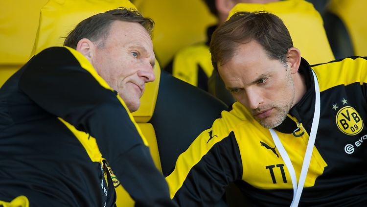 "Bei Thomas Tuchel liegt die Akzentuierung auf Ballbesitz und Positionsspiel. Das ist schon ein Paradigmenwechsel. Genau das wollten wir: Einen neuen Input von einem neuen Trainer. Das hat bislang prima funktioniert."
