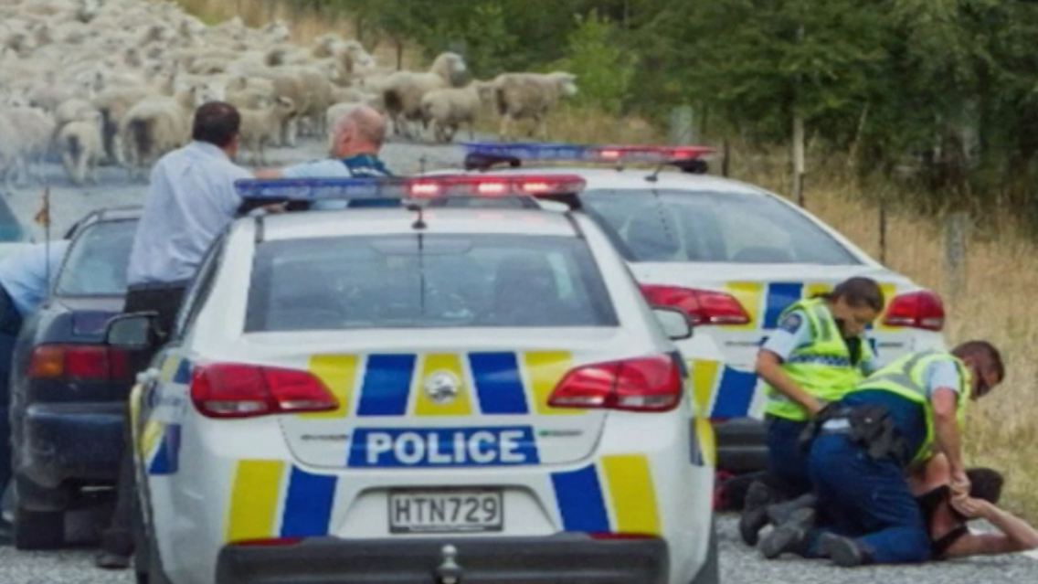 Neuseeland_Polizei_Schafe.jpg