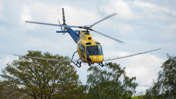 AS 350 im Einsatz bei der Schädlingsbekämpfung.